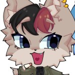 Amiki