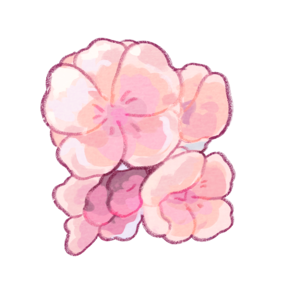 Sakura Flower