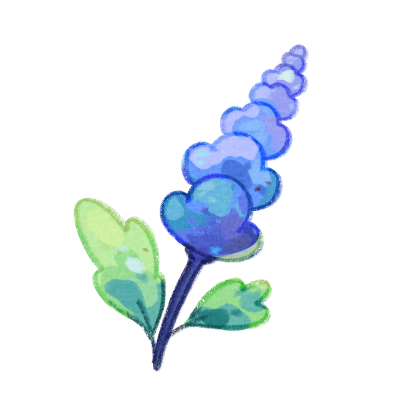 Delphinium Flower