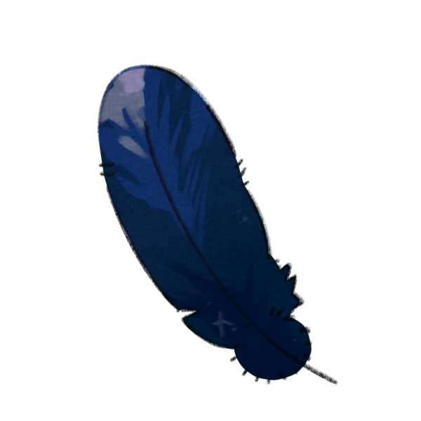 Black Crow Feather